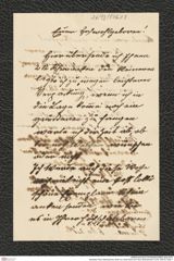 Nachlass Franz Steindachner, Brief von Josef Sturm an Franz Steindachner, Inv.Nr. 526.03, Seite 1